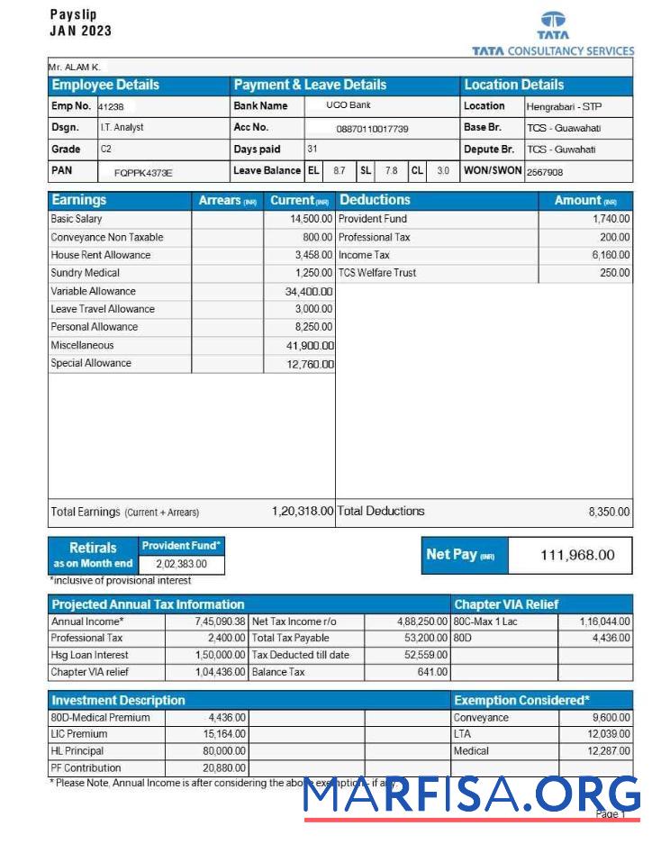 Downloadable TATA Consultancy Services payslip, version 2 template